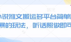 抖音快手小红书多平台小说推文搬运玩法 简单粗暴新手可直接照做-雨叶虚拟资源网