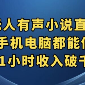 抖音无人有声小说直播操作指南 手机电脑均可做盈利方法揭秘-雨叶虚拟资源网