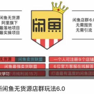 闲鱼无货源店群6.0玩法教程 零囤货零引流盈利实操指南-雨叶虚拟资源网