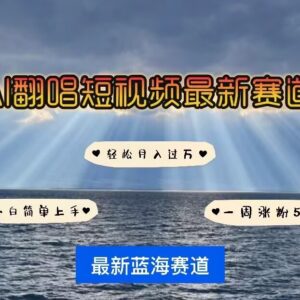 IP人物AI智能翻唱短视频教程 蓝海赛道快速涨粉起号玩法拆解-雨叶虚拟资源网