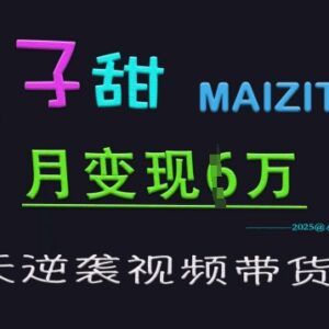 麦子甜30天视频带货特训营 从0入门到单月变现6W+实操教学-雨叶虚拟资源网