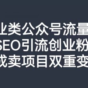 创业类公众号流量主SEO引流创业粉 双重变现玩法全解析-雨叶虚拟资源网