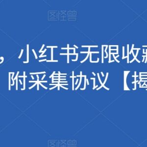 小红书无限收藏引流创业粉实操方法 附配套采集协议资源-雨叶虚拟资源网