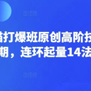 淘宝天猫打爆班第66期教程 连环起量14法高阶运营实操技巧-雨叶虚拟资源网