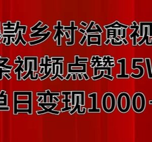 乡村治愈系爆款视频制作教程 单条点赞15W+单日可变现超千元-雨叶虚拟资源网