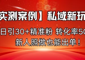 实测私域情感引流落地玩法 新人零门槛日引精准粉高转化易出单-雨叶虚拟资源网