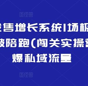 裂变式发售闯关实操营 私域全流程玩法实现极速动销增长-雨叶虚拟资源网