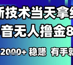 2025年6月最新抖音无人撸金8.0玩法 零门槛单日收益可达1k+-雨叶虚拟资源网