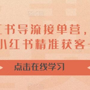 16天小红书导流接单营 从获客引流到转化成交全流程教程-雨叶虚拟资源网