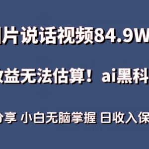 AI制作图片说话爆款视频 低门槛蓝海副业项目实操攻略-雨叶虚拟资源网