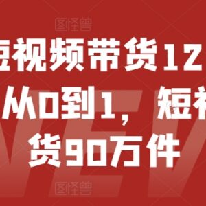 抖音短视频带货实操教程 14个月从零起步累计带货90万件方法-雨叶虚拟资源网