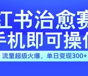 小红书治愈视频赛道实操玩法揭秘 手机可操作门槛低单日变现300+-雨叶虚拟资源网