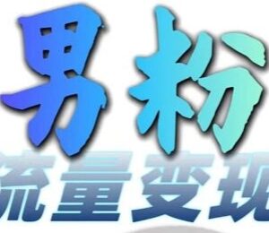 0基础可做男粉流量结合网盘拉新变现项目 操作简单易上手-雨叶虚拟资源网