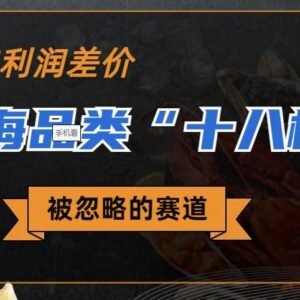 冷门蓝海品类十八籽高利润玩法 小红书无货源实操完整教程-雨叶虚拟资源网