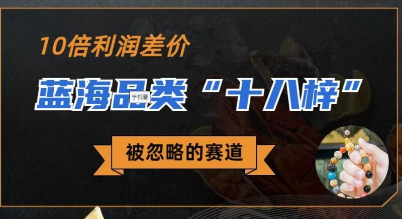 冷门蓝海品类十八籽高利润玩法 小红书无货源实操完整教程