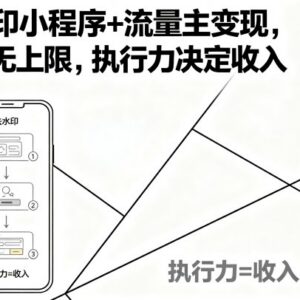去水印小程序流量主变现玩法解析 收益无上限与执行力直接挂钩-雨叶虚拟资源网