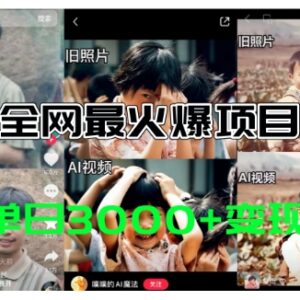AI老照片动起来制作教程 免费工具及多渠道变现玩法详解-雨叶虚拟资源网
