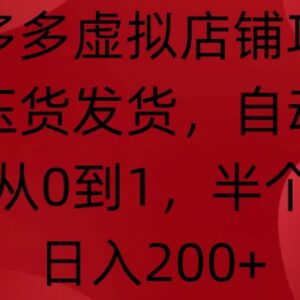 2024拼多多虚拟店铺运营教程 小白零成本从0到1实操指南-雨叶虚拟资源网