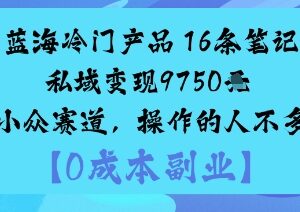 冷门小众蓝海赛道玩法：仅靠16条笔记实现私域变现近万元-雨叶虚拟资源网