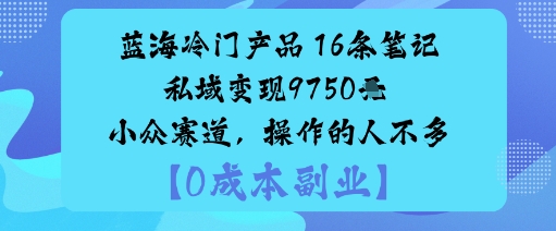 冷门小众蓝海赛道玩法：仅靠16条笔记实现私域变现近万元