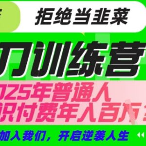 2025年普通人入局知识付费 靠卖项目实现年入百万实操指南-雨叶虚拟资源网