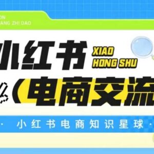 小红书电商运营学习课程 付费投放实操思路配套视频资料-雨叶虚拟资源网