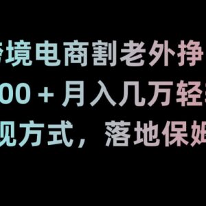 跨境电商TK无货源搬砖保姆级教程 多变现方式新手可落地赚美刀-雨叶虚拟资源网