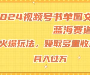 2024视频号书单图文蓝海赛道玩法 多重变现小白上手实操指南-雨叶虚拟资源网