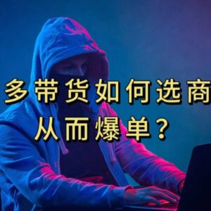 多多视频带货选品攻略：怎么选商品链接才能快速实现爆单-雨叶虚拟资源网