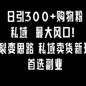 小红书日引300+购物粉裂变思路 私域卖货副业实操完整教程-雨叶虚拟资源网