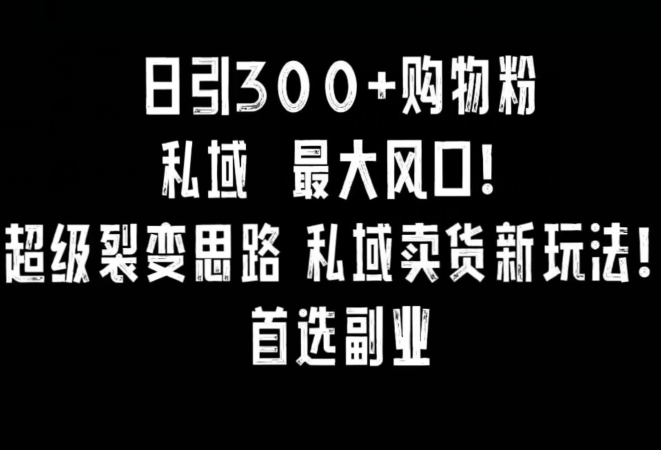 小红书日引300+购物粉裂变思路 私域卖货副业实操完整教程