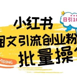 最新小红书批量图文引流技术拆解 手机操作日引100+创业粉教程-雨叶虚拟资源网