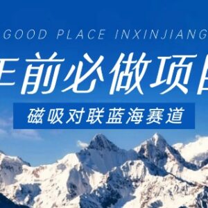 2024春节前磁吸对联蓝海低门槛副业 手机即可操作赚差价-雨叶虚拟资源网