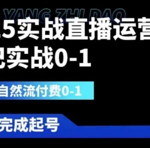 2025直播运营0-1全流程实战教程 掌握自然流付费玩法独立起号-雨叶虚拟资源网