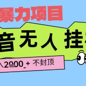 2025抖音挂G撸金项目玩法揭秘 单号产出2k+小白当天可拿收益-雨叶虚拟资源网