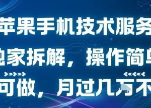 闲鱼苹果手机技术服务项目拆解 0成本小白可做副业实操指南-雨叶虚拟资源网