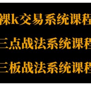 裸K三点三板三套交易课程 从基础到进阶构建系统化交易思路-雨叶虚拟资源网