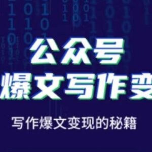 零基础公众号AI爆文写作教程 涨粉变现全流程实操指南-雨叶虚拟资源网