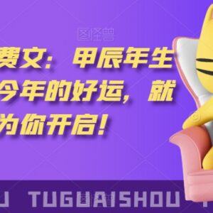 2024甲辰年十二生肖详解 灏泽付费版生肖运势参考指南-雨叶虚拟资源网