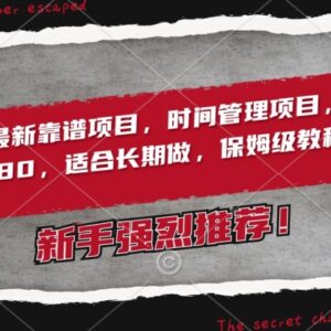 2024靠谱长期时间管理IP变现项目 全流程运营保姆级教程-雨叶虚拟资源网