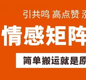 情感矩阵搬运玩法解析 低门槛快速涨粉起号可适配多赛道带货-雨叶虚拟资源网
