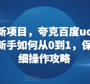 网盘拉新0到1保姆级攻略 夸克百度UC迅雷多平台操作指南-雨叶虚拟资源网