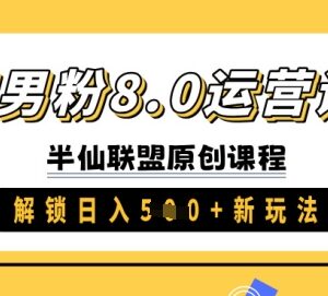 男粉运营8.0实操进阶课程 新手可做副业变现新玩法教程-雨叶虚拟资源网