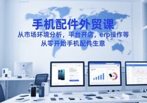 手机配件外贸实操系统课 零基础学开店选品ERP运营全流程-雨叶虚拟资源网