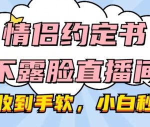 情侣约定书不露脸直播间实操教程 小白易上手礼物收益可观-雨叶虚拟资源网