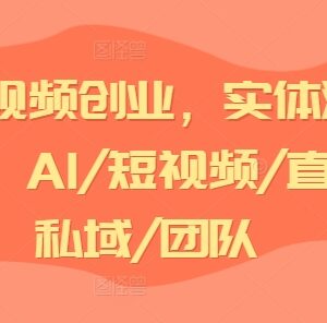 AI短视频创业实体流量实战教程 涵盖AI创业私域团队搭建实操方法-雨叶虚拟资源网