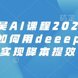 2025天诺老吴AI课程 电商企业Deepseek降本提效实操教程-雨叶虚拟资源网