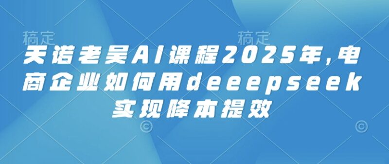 2025天诺老吴AI课程 电商企业Deepseek降本提效实操教程
