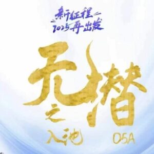 2025无潜不起全域入池方法论 掌握流量入池核心实操技巧-雨叶虚拟资源网