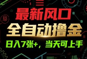全自动电商撸金副业操作指南 新手当日可上手日入超700元-雨叶虚拟资源网